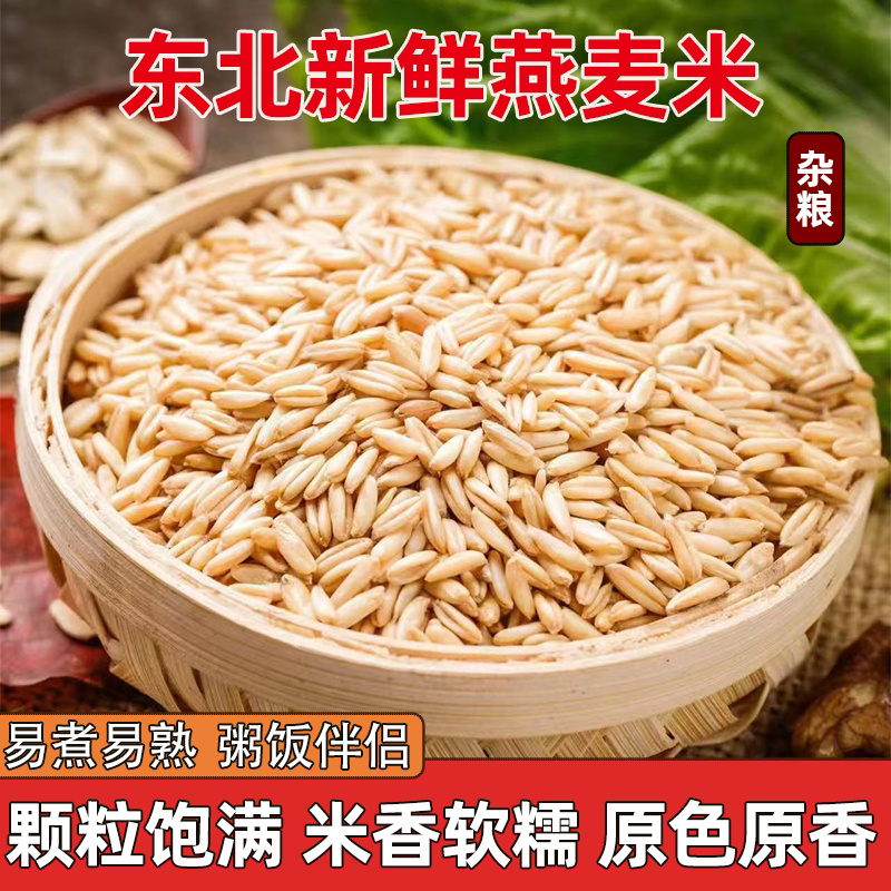 东北当季燕麦米新米燕麦五谷杂粮米饭农家杂粮糙米粗粮非即食批发