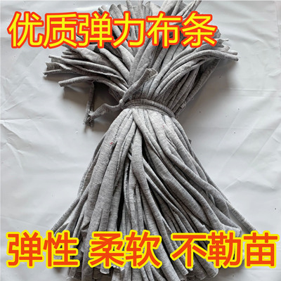 火龙果短布条绳绑带花椒枝条固定布绳子化纤棉尼龙弹力捆扎松紧绳