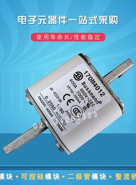 巴斯曼快速熔断器170M4012 4013 4014 4015 4016 4017 4018 4019