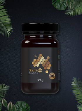 Karibee可瑞比蜂蜜澳大利亚原瓶原装进口桉树TA10+500g节日送礼