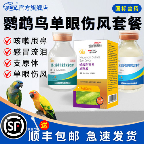 笨笨宠鹦鹉鸽子眼红支原体打喷嚏