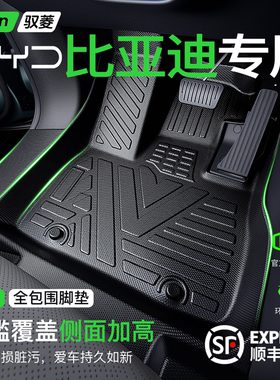比亚迪秦PLUS宋PRO/PLUSDMI海豹06DMI汉L/海狮06EV脚垫TPE全包围