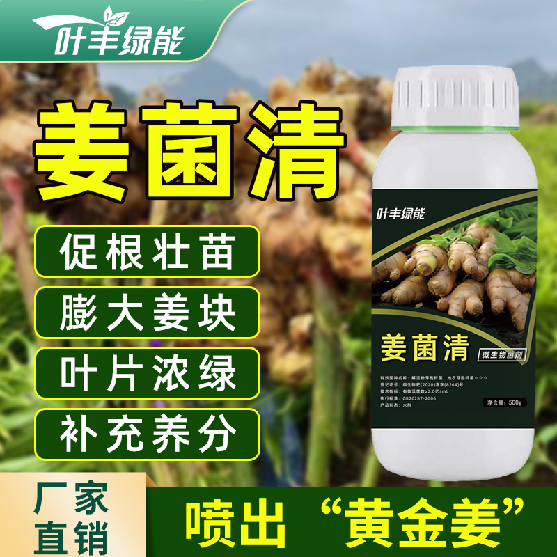 叶丰绿能姜菌清姜块膨大植株健壮生根壮苗微生物菌剂叶面肥水溶肥