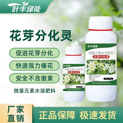花芽分化灵强力催花水溶叶面肥料