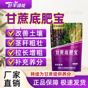 叶丰绿能甘蔗底肥宝微生物菌剂改良土壤拉长增粗茎秆粗壮营养菌肥