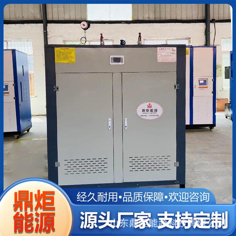 电加热蒸汽发生器生物质蒸汽锅炉黄瓜加工白酒精酿啤酒蒸汽炉