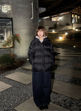 ASBR【阿咪严选】90白鸭绒宽松加厚立领泡芙保暖羽绒服女25冬新款