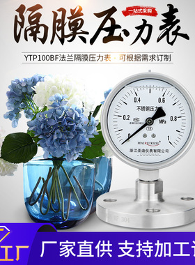 YTP100BF法兰连接dn25/dn50衬四氟316l不锈钢耐震隔膜压力表