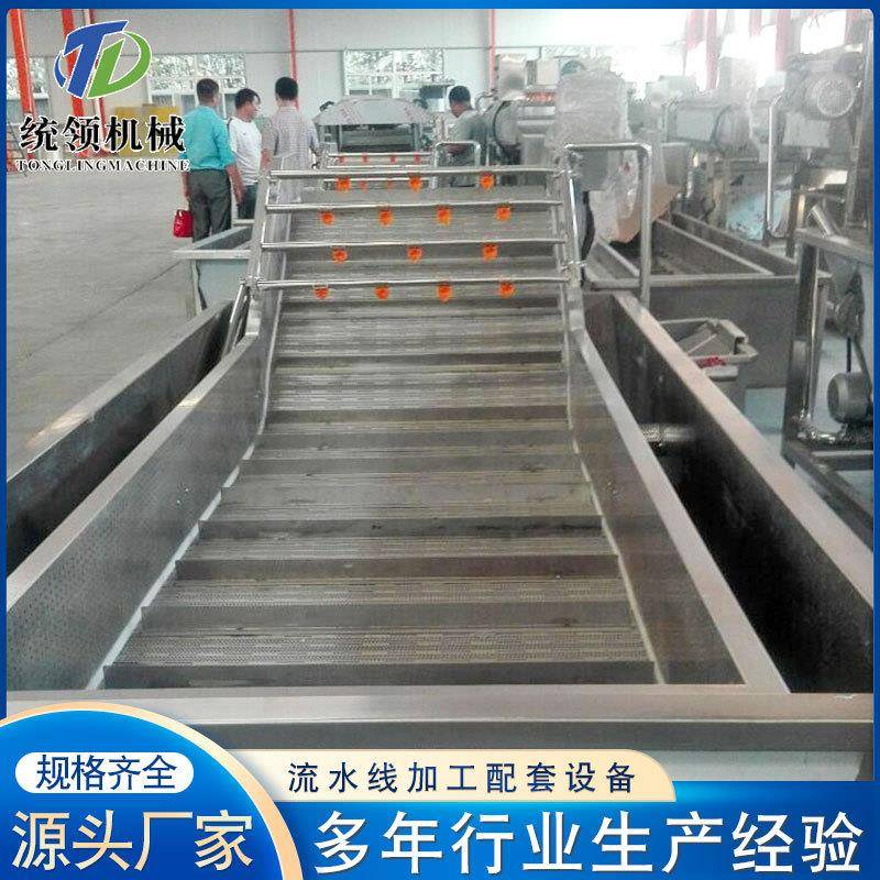 高压喷淋式果蔬气泡清洗机桂圆莲子全自动番茄果蔬气泡清洗机