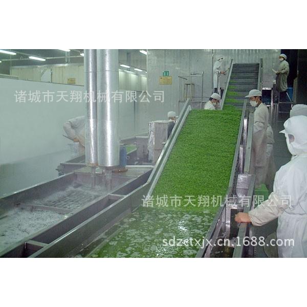 天翔厂家供应芸豆西兰花果蔬杀青漂烫机,蔬菜杀青机,效果好