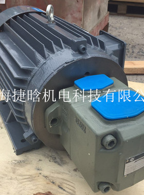 63YCY-YYB225S-4油泵电机组 液压站三相卧式内轴马达