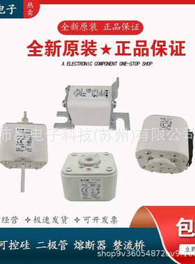 170M1806 170M1807 170M1808 170M1809伊顿巴斯曼熔断器全新现货