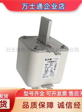 170M8507170M8508170M8509170M8510170M8511全新熔断器现货