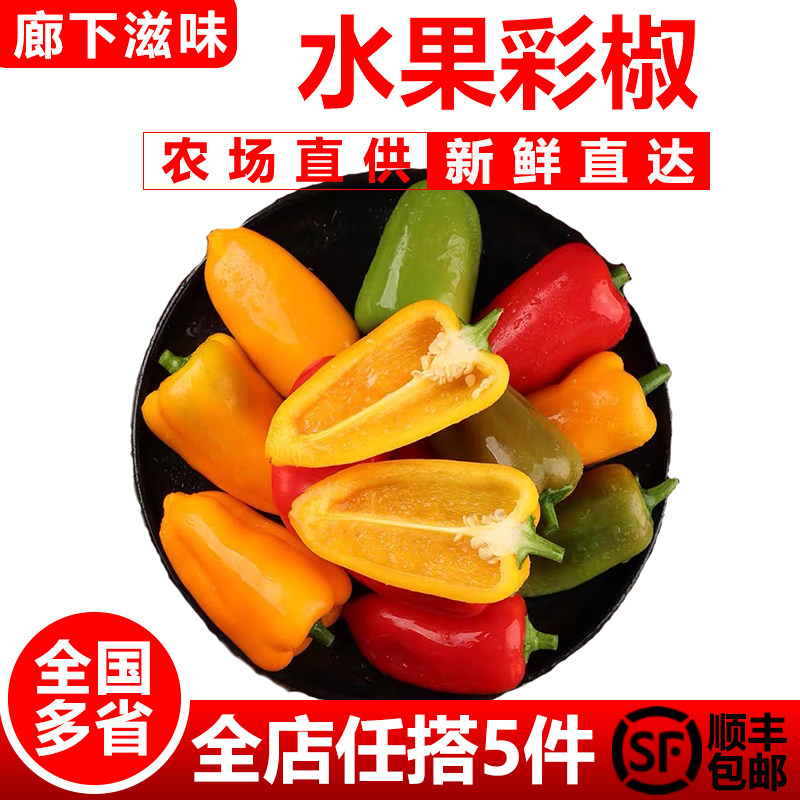 【廊下滋味】水果彩椒500g新鲜灯笼迷你彩椒甜椒辣椒沙拉凉拌蔬菜,水产肉类/新鲜蔬果/熟食,辣椒,淘宝优惠券,粉丝福利购,淘宝优惠卷