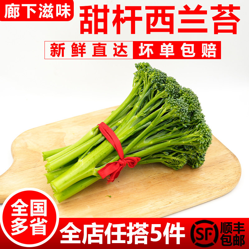 【廊下滋味】宁夏甜杆西兰苔500g 新鲜手指西兰花苔 芦笋青花苔