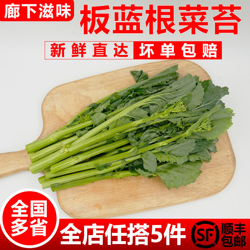 新鲜板蓝根菜苔500g 现摘脆嫩板蓝根青菜油菜菘菜苔1号白灼板蓝根,水产肉类/新鲜蔬果/熟食,叶菜类,淘宝优惠券,粉丝福利购,淘宝优惠卷