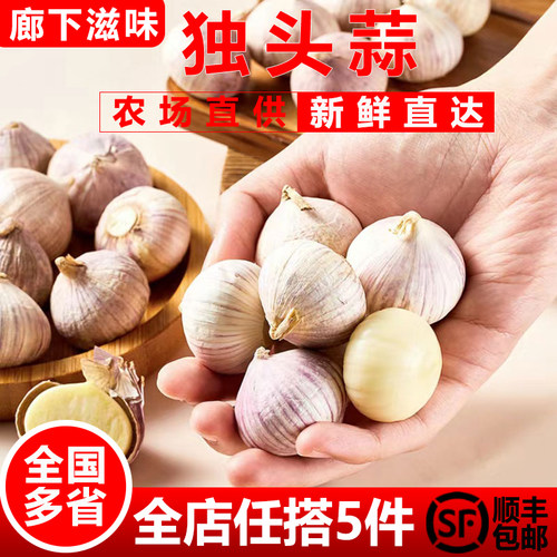 紫皮独头蒜250g大蒜头