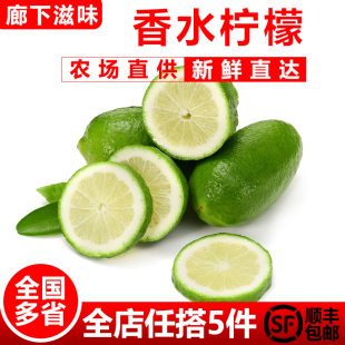 海南香水无籽青柠檬新鲜四季 无籽香水柠檬500g 青柠 廊下滋味