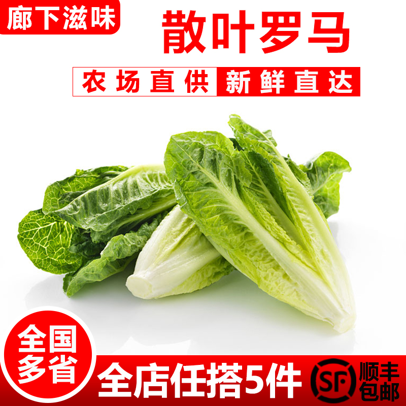 廊下滋味散叶罗马生菜500g
