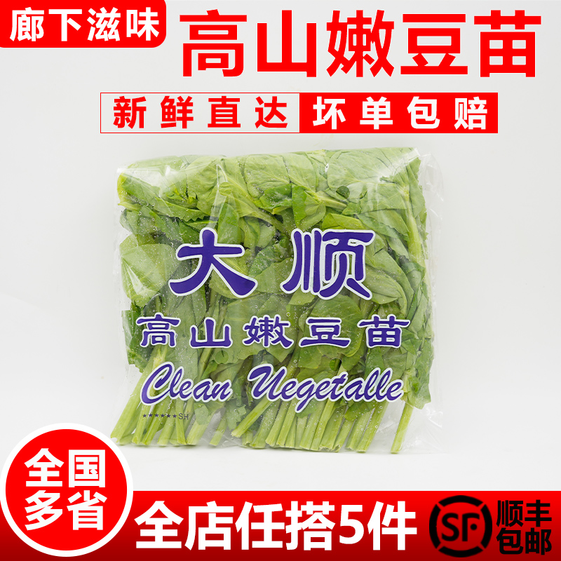 高山嫩豆苗150g/包清炒酒店料理
