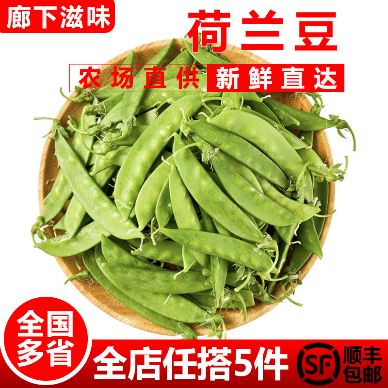 【廊下滋味】新鲜荷兰豆500g 新鲜蔬菜甜豆青豆菜豌豆,水产肉类/新鲜蔬果/熟食,其它,淘宝优惠券,粉丝福利购,淘宝优惠卷