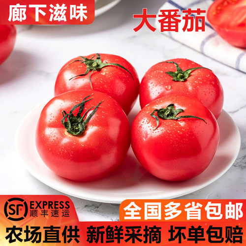 廊下滋味大番茄顺丰包邮