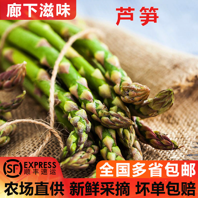 【廊下滋味】新鲜芦笋1-5斤 青芦笋龙须菜去白根新鲜芦笋蔬菜