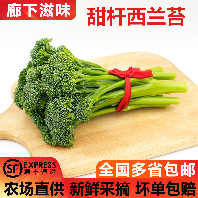 【廊下滋味】宁夏甜杆西兰苔1-5斤 新鲜手指西兰花苔 芦笋青花苔,水产肉类/新鲜蔬果/熟食,西兰花/花菜,淘宝优惠券,粉丝福利购,淘宝优惠卷