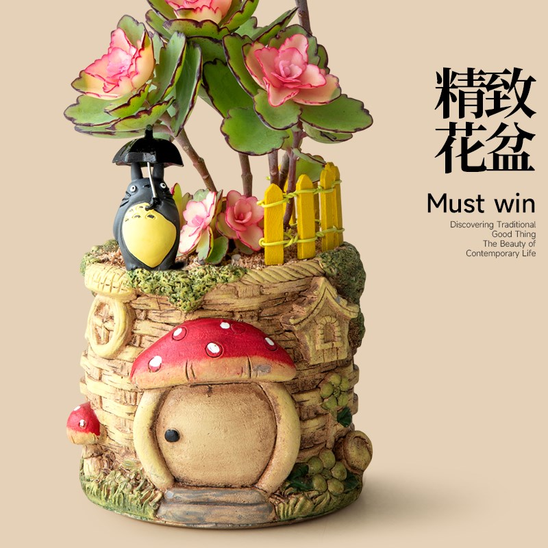 多头锦绣牡丹多肉植物粉色花卉办公室桌面绿植室内盆栽送节日礼品