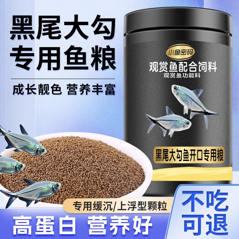 黑尾大勾鱼饲料一眉道人鱼黑尾背孔雀鱼小型鱼热带鱼红鼻剪刀鱼食