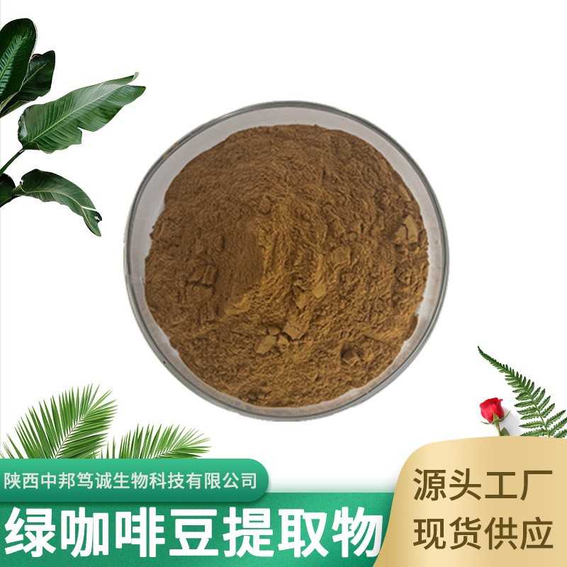 绿咖啡豆提取物 绿原酸 水溶性绿咖啡豆粉 绿咖啡豆萃取 现货供