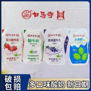 白马寺发酵酸牛奶180g／袋原味草莓蓝莓多口味新鲜酸甜网红整箱