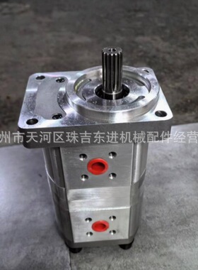 307012-6111 5.5+5.5齿轮泵