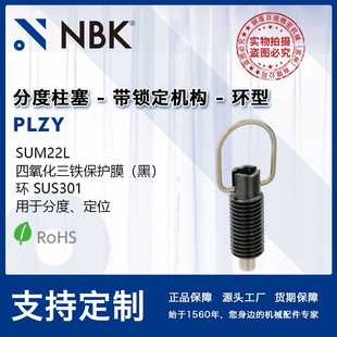 型号标准化 NBK 用于分度定位 PLZY分度柱塞 厂家 带锁定机构