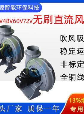 2200w清扫车48V直流风机直叶式吸树叶杂草PF150-3透浦式负压风机