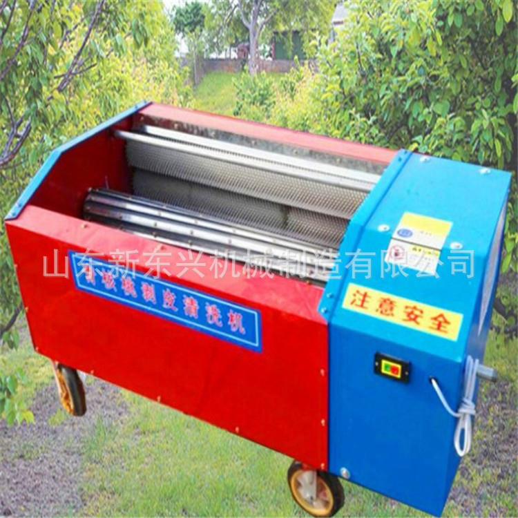 青核桃去皮机 家用核桃脱壳机 薄皮核桃扒皮清洗机