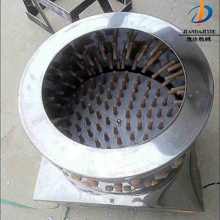 不锈钢脱毛机鸡鸭鹅小型家禽鸡脱毛机多少钱鸡鸭鹅禽类拔毛器厂家