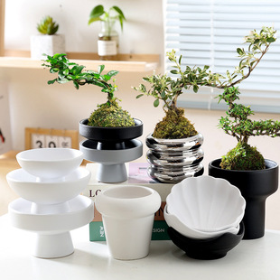 青苔球花盆芦笋无孔水果板陶瓷尖山菖蒲花盆家居禅办公摆件盆景