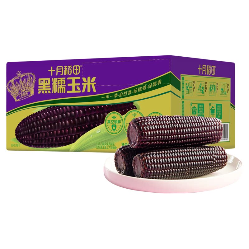十月稻田黑糯玉米东北苞谷软糯甘甜大棒含花青素清香真空轻食主食