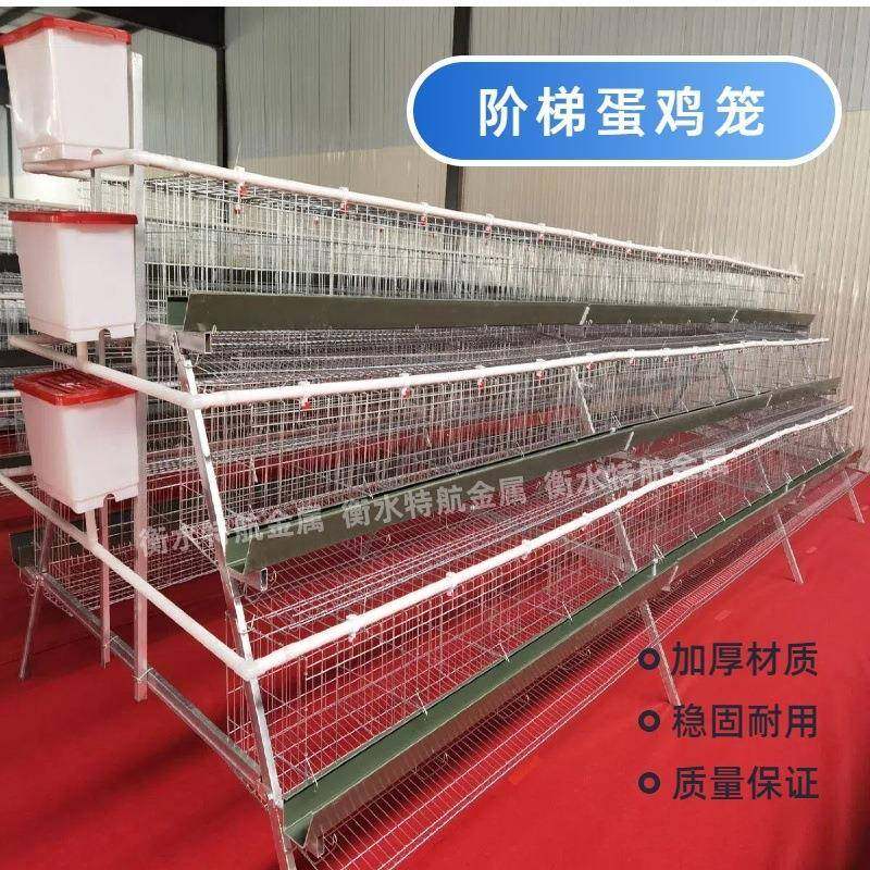 多层阶梯式蛋鸡笼养殖家用A字形层叠鸡笼冷热镀锌蛋鸡笼,畜牧/养殖物资,特种养殖设备,淘宝优惠券,粉丝福利购,淘宝优惠卷