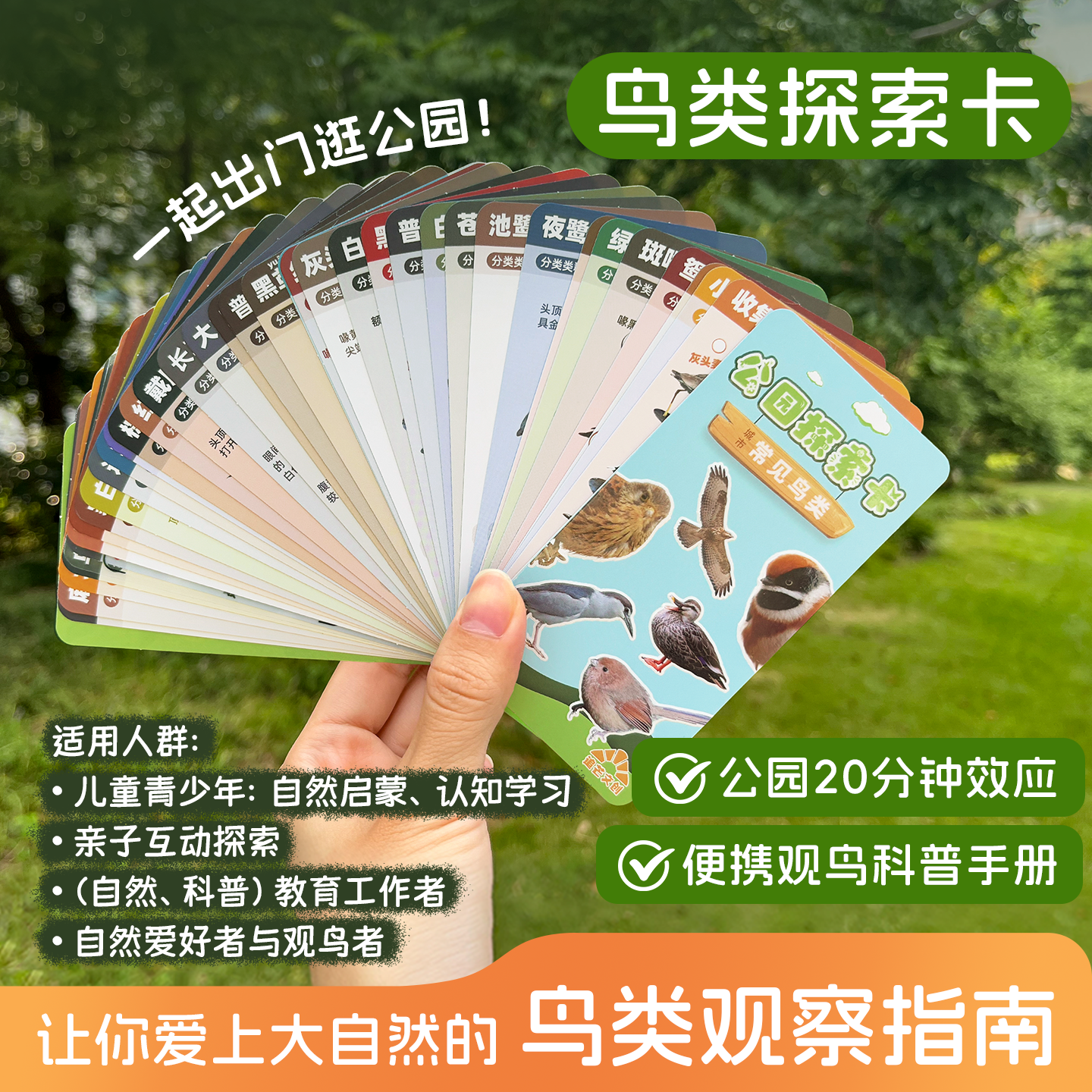 公园观鸟户外探索任务卡鸟类科普图鉴知识观察卡片自然学习教育