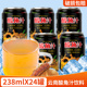 云南酸角汁饮料238mlx24瓶果汁酸甜饮料整箱饮品家用商用年货特产