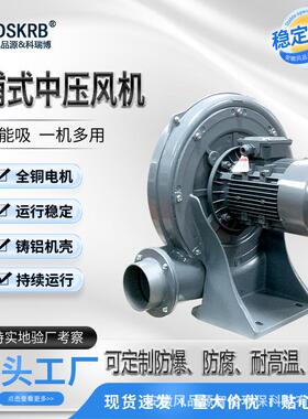 工业粉尘处理管道送风用TB150透浦式中压鼓安徽风品源DSKRB生产商