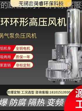 气体粉煤安防爆BT4CT4爆356直连拖泵漩涡式气泵 4k防w漩涡高压风