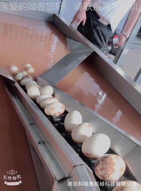 红泥IUQ淹蛋去蛋泥清洗机定制自动化小型洗鸡洗蛋机 鸭蛋 清线