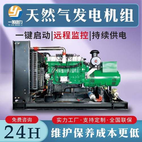 300kw养殖场用沼气发电机组石油油田井口管道用400kw天然气发电机