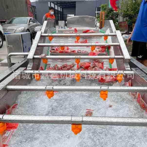 厂家直销洗菜机果蔬清洗机全自动气泡清洗机去除农药蔬菜洗菜机