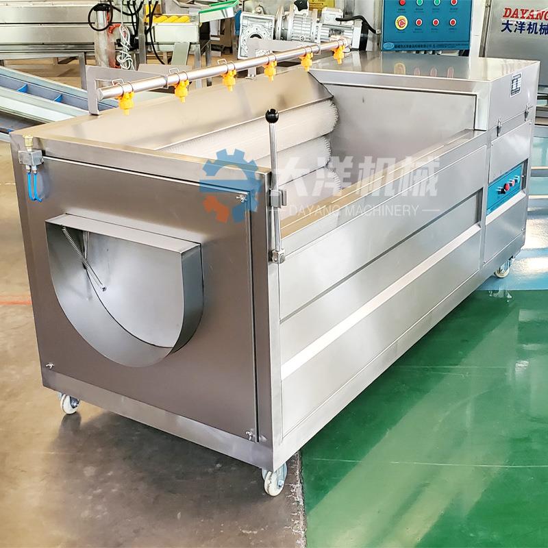 毛刷清洗脱皮机全自动土豆清洗去皮设备现货红薯磨皮机地瓜去皮机