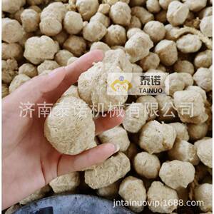 泰诺蛋白素肉机200kg/h组织蛋素肉设备蛋白素肉生产机器性价比高