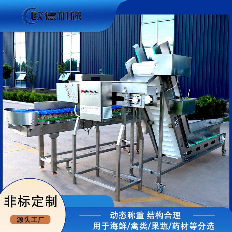 转盘式小龙虾自动分拣机鸡爪快速分级称重海鲜生蚝鲍鱼料盒分选机